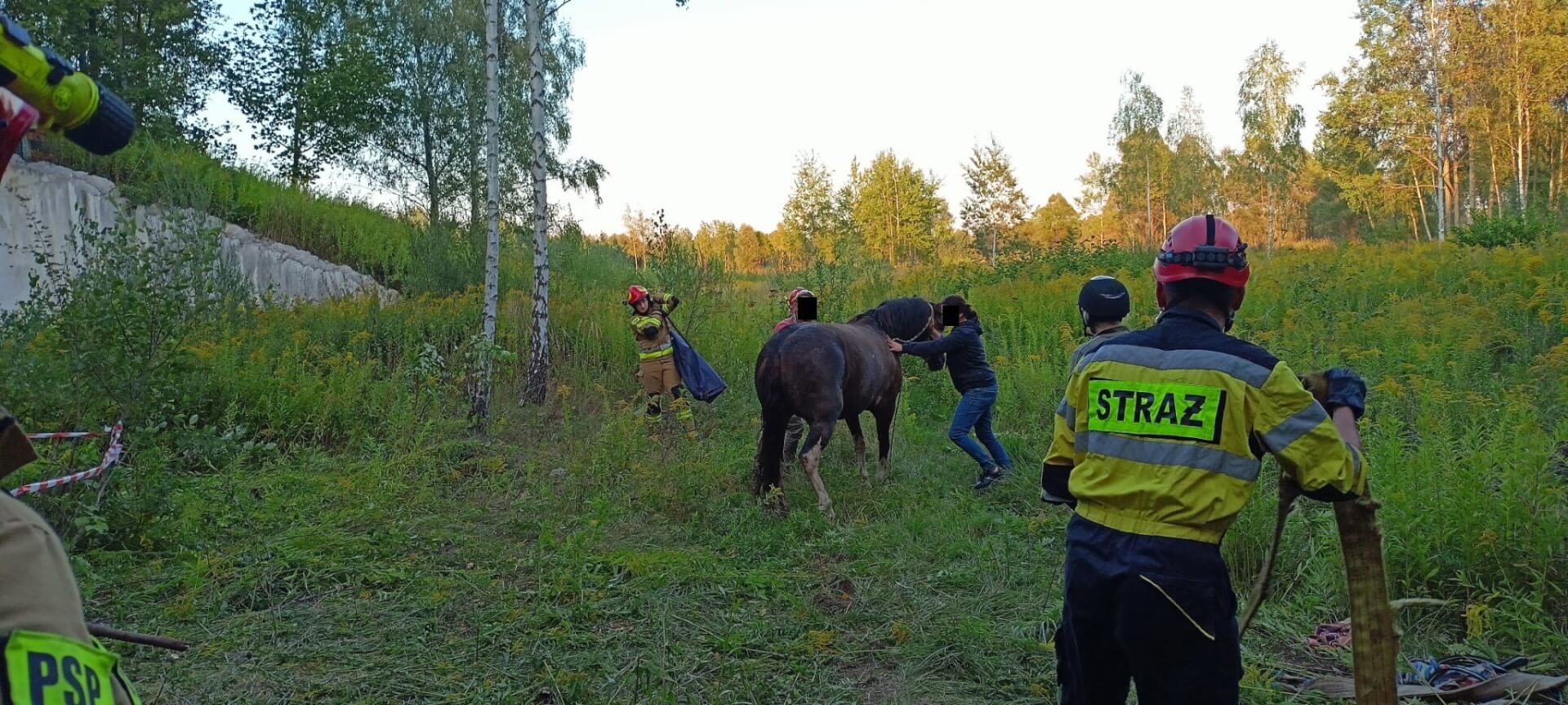 Koń wpadł do studzienki kanalizacyjnej