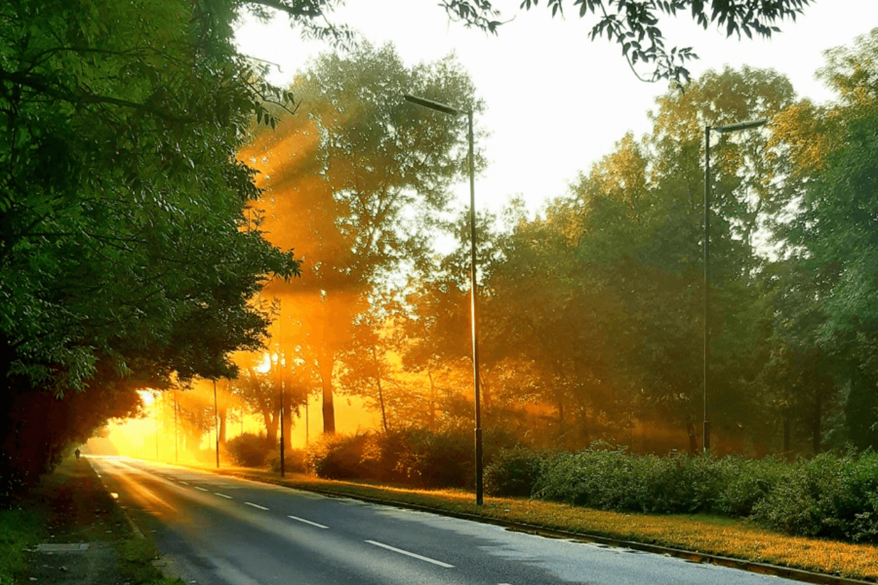 Konkurs fotograficzny "Zabrze jest piękne"