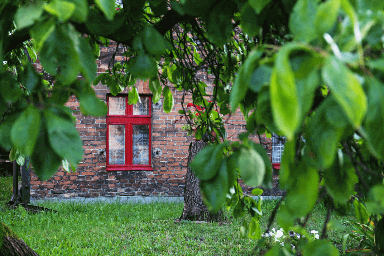 Konkurs fotograficzny "Zabrze jest piękne"