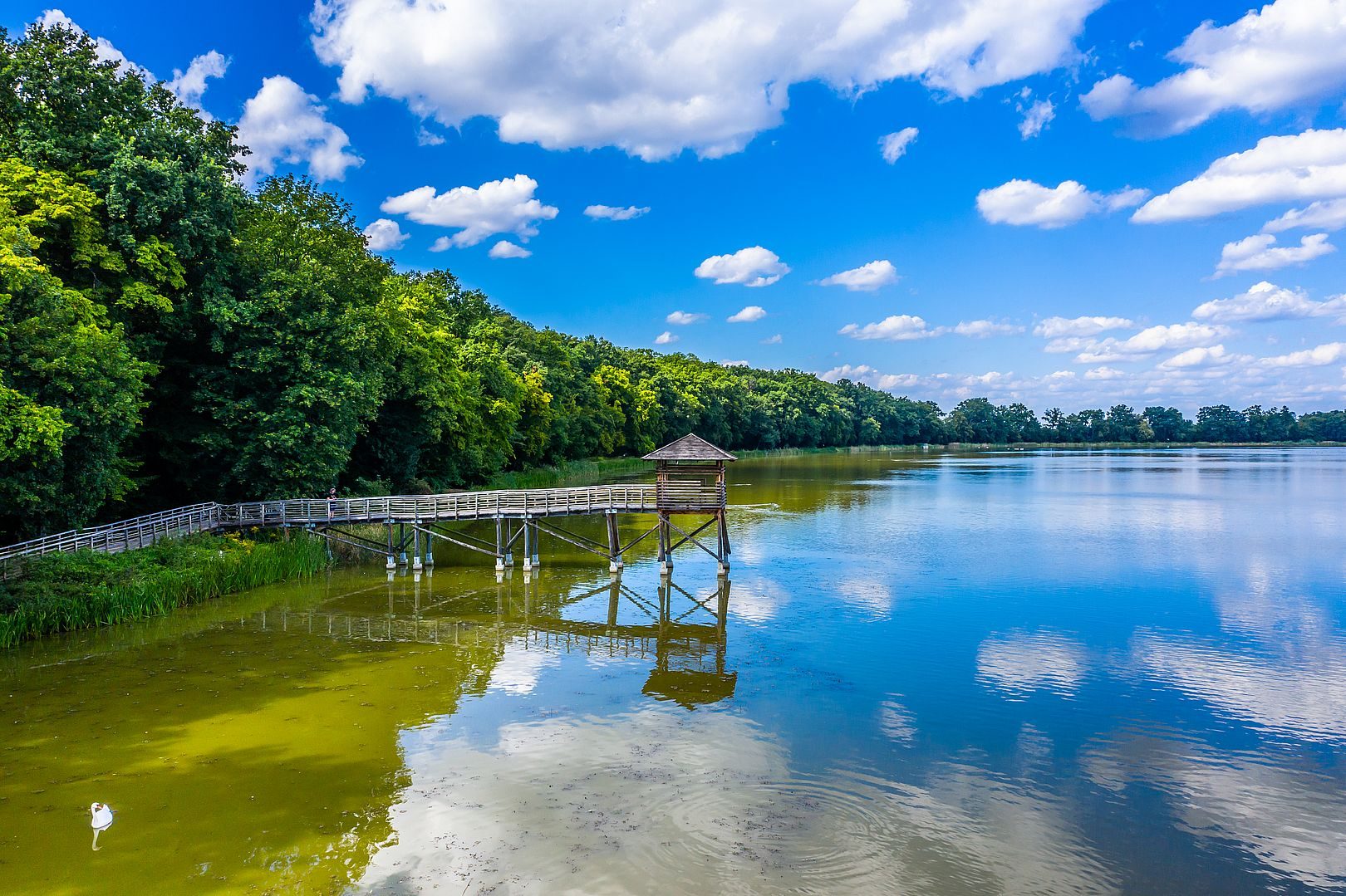 Rezerwat Łężczok fot Kraina Górnej Odry M Giba 2